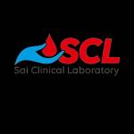 Sai Laboratory Profile Picture