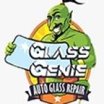 Glass Genie Profile Picture