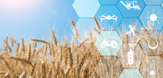 Agriculture at Its Finest: Exploring Advantages of Precision Farming - Breezio - Collaborative Research Platform