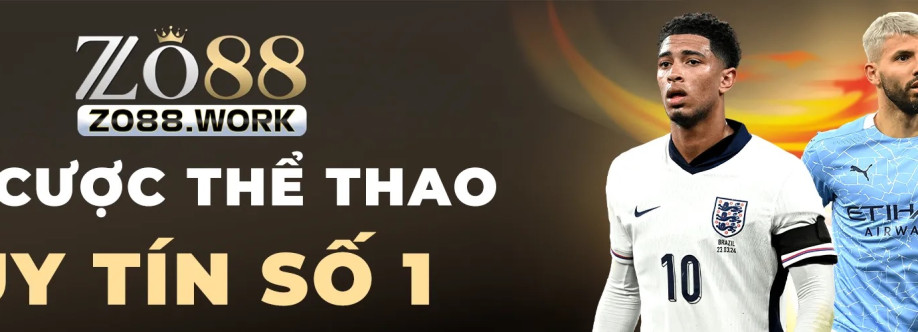 zo88 work Cover Image