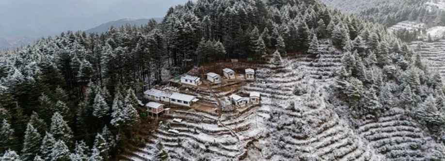 The Deodar Stays Cover Image