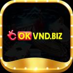 okvnd biz Profile Picture