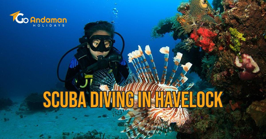 Discover the Underwater Paradise: A Guide to Scuba Diving in Havelock - JustPaste.it