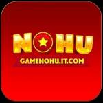 Nohu Profile Picture
