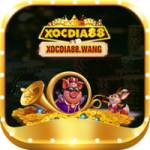 xocdia88 wang Profile Picture