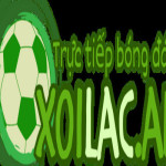 Xoilac Xembongda Profile Picture
