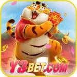 y3bets org Profile Picture